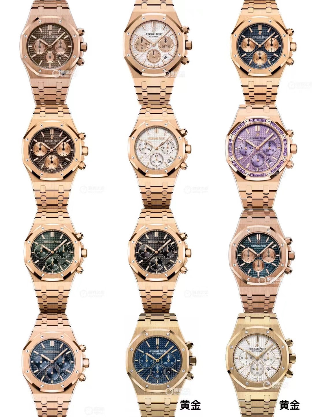Audemars Piguet AP Family Photo