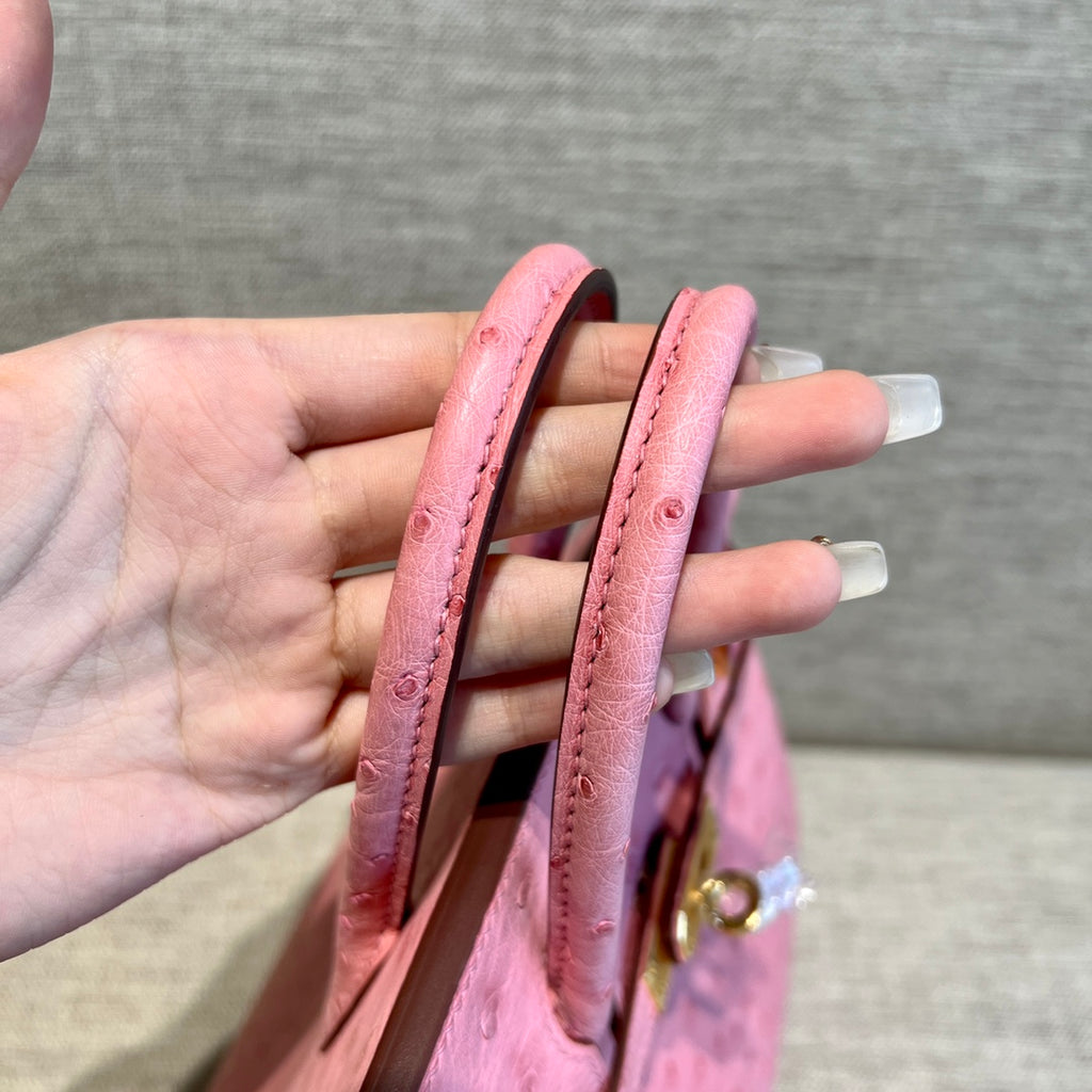 birkin25cm