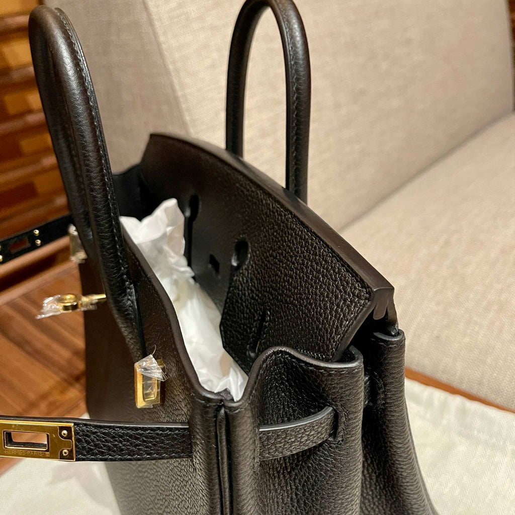 Birkin Platinum 25cm
