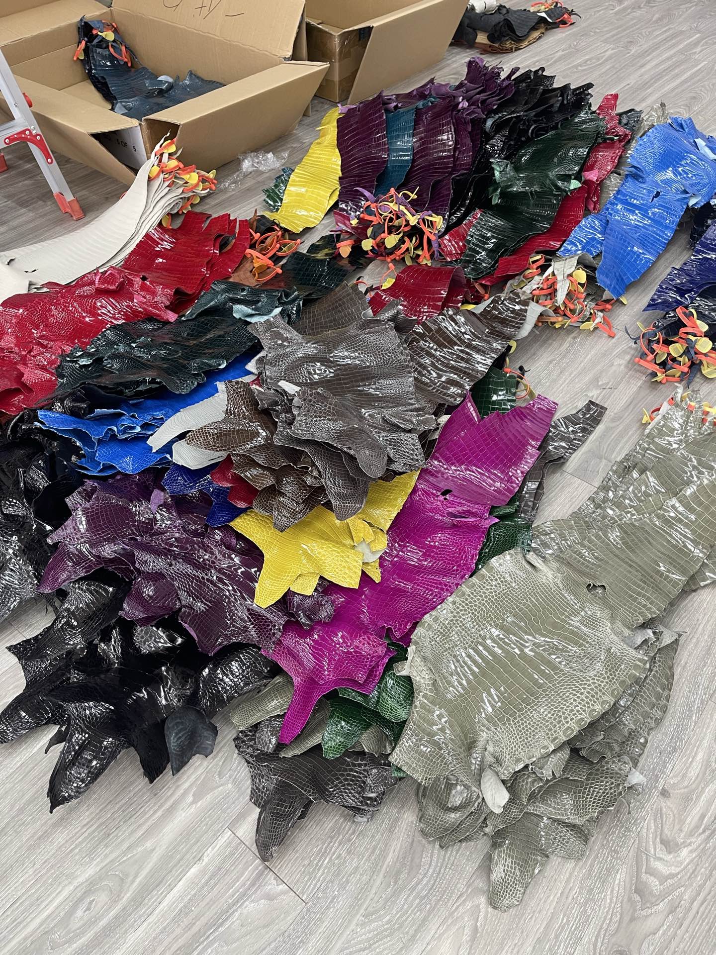 Imported shiny American crocodile