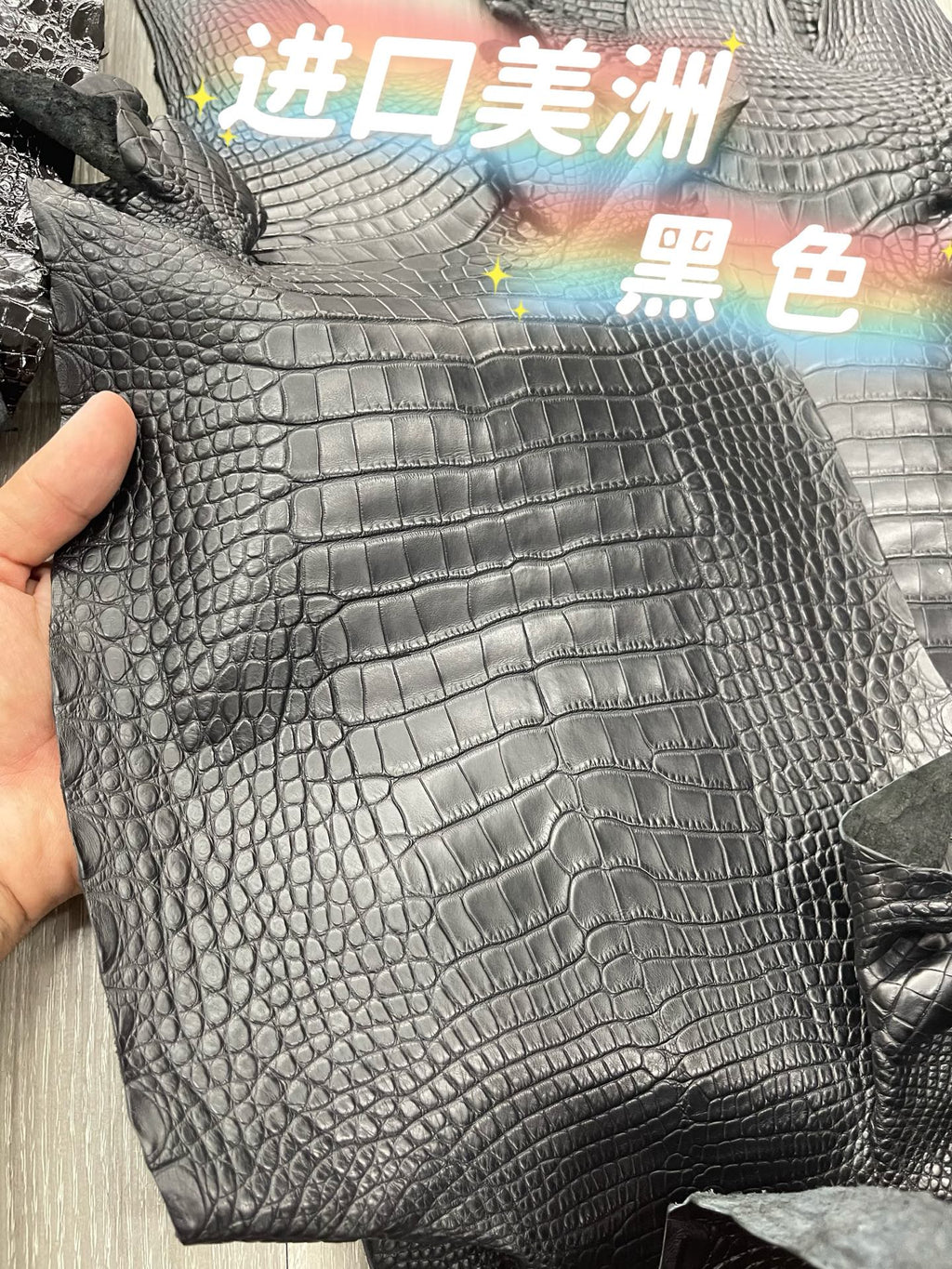Imported shiny American crocodile