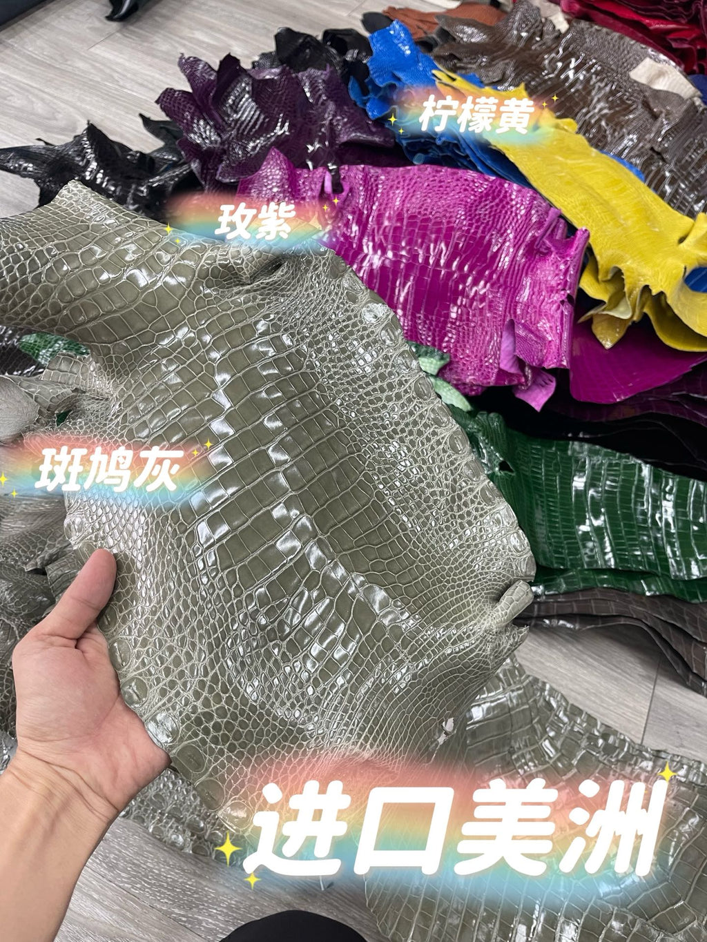 Imported shiny American crocodile