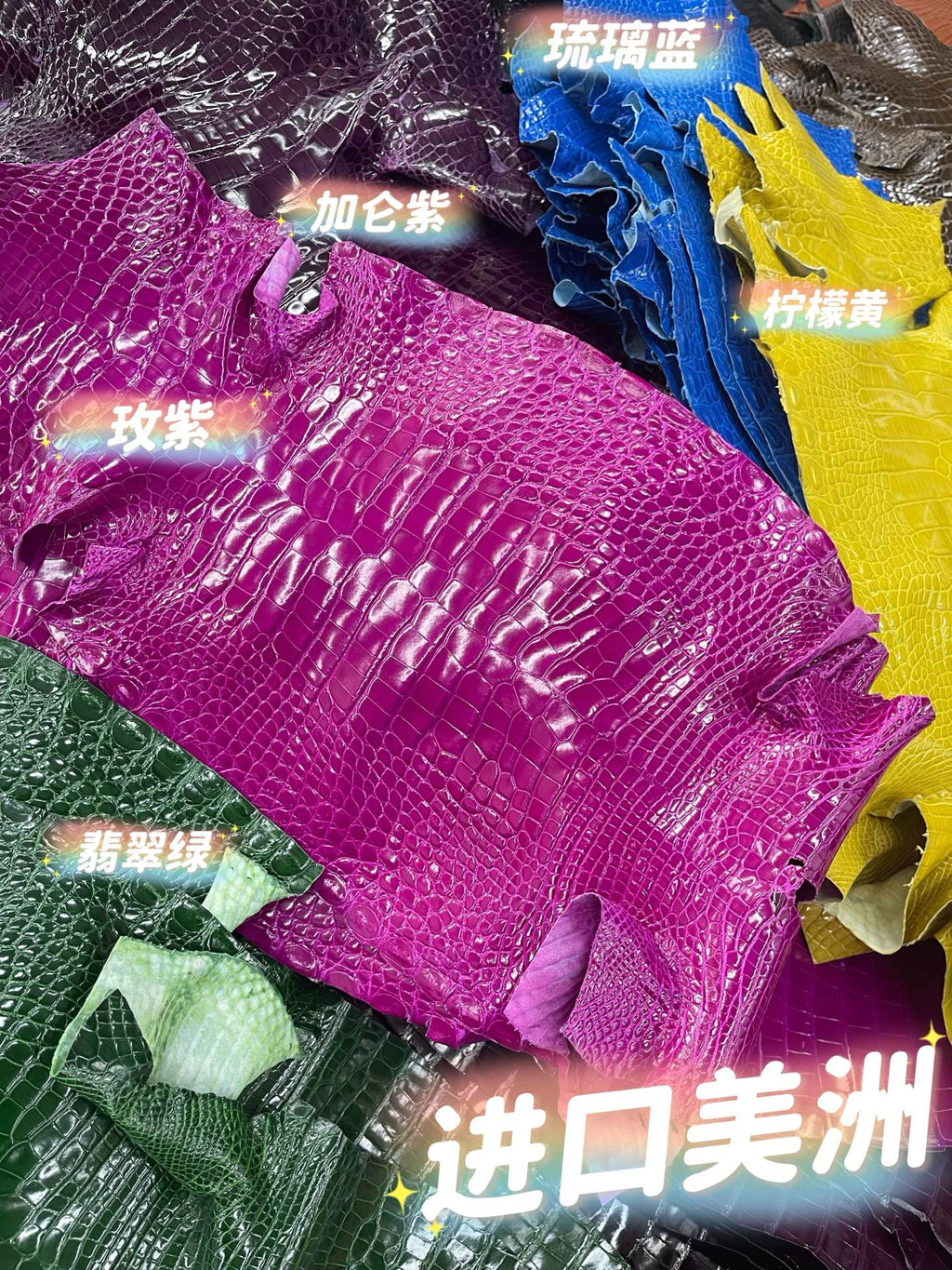 Imported shiny American crocodile