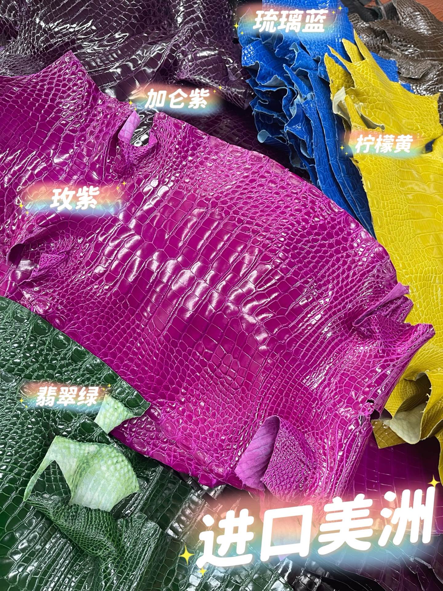 Imported shiny American crocodile