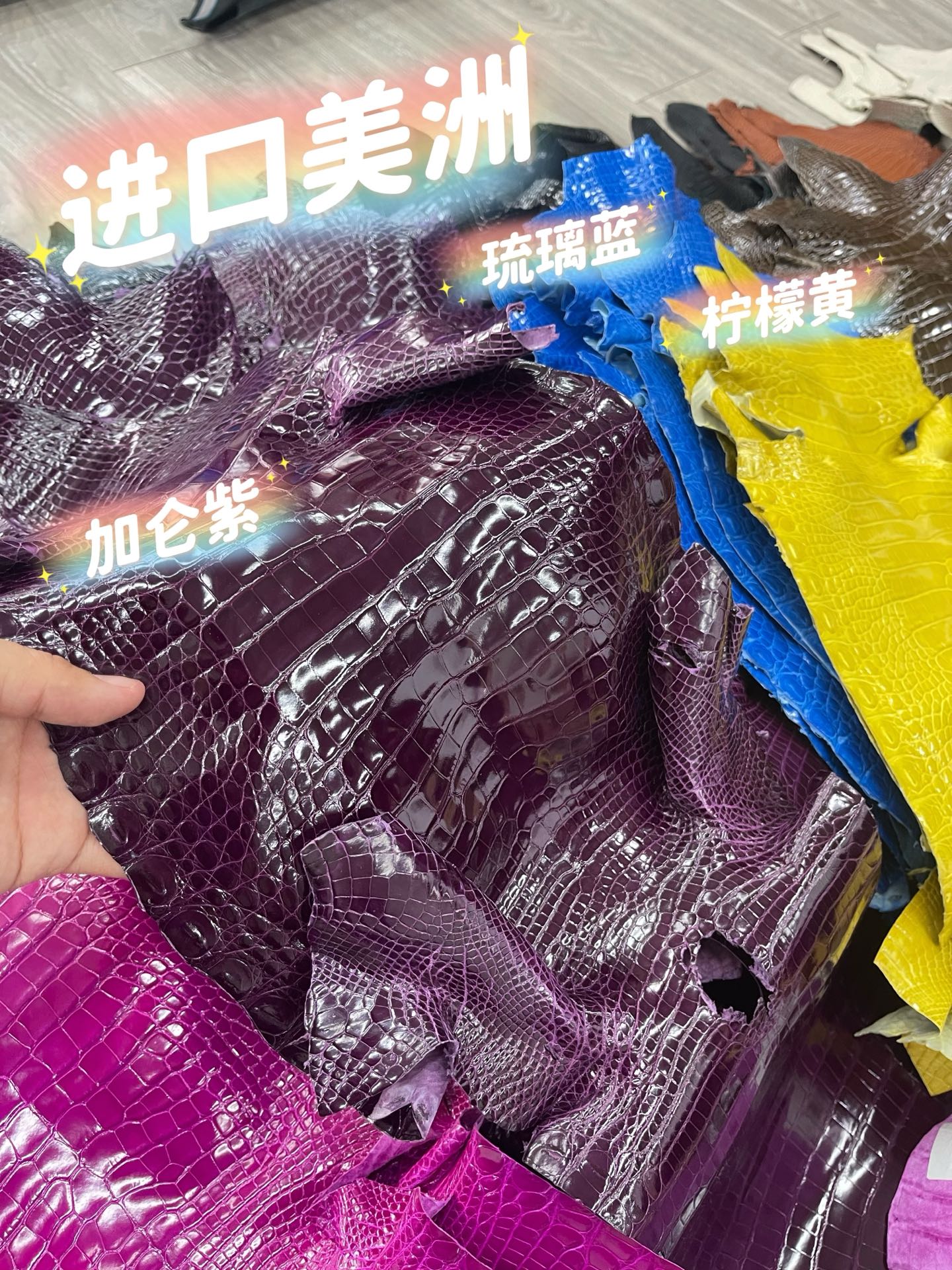 Imported shiny American crocodile