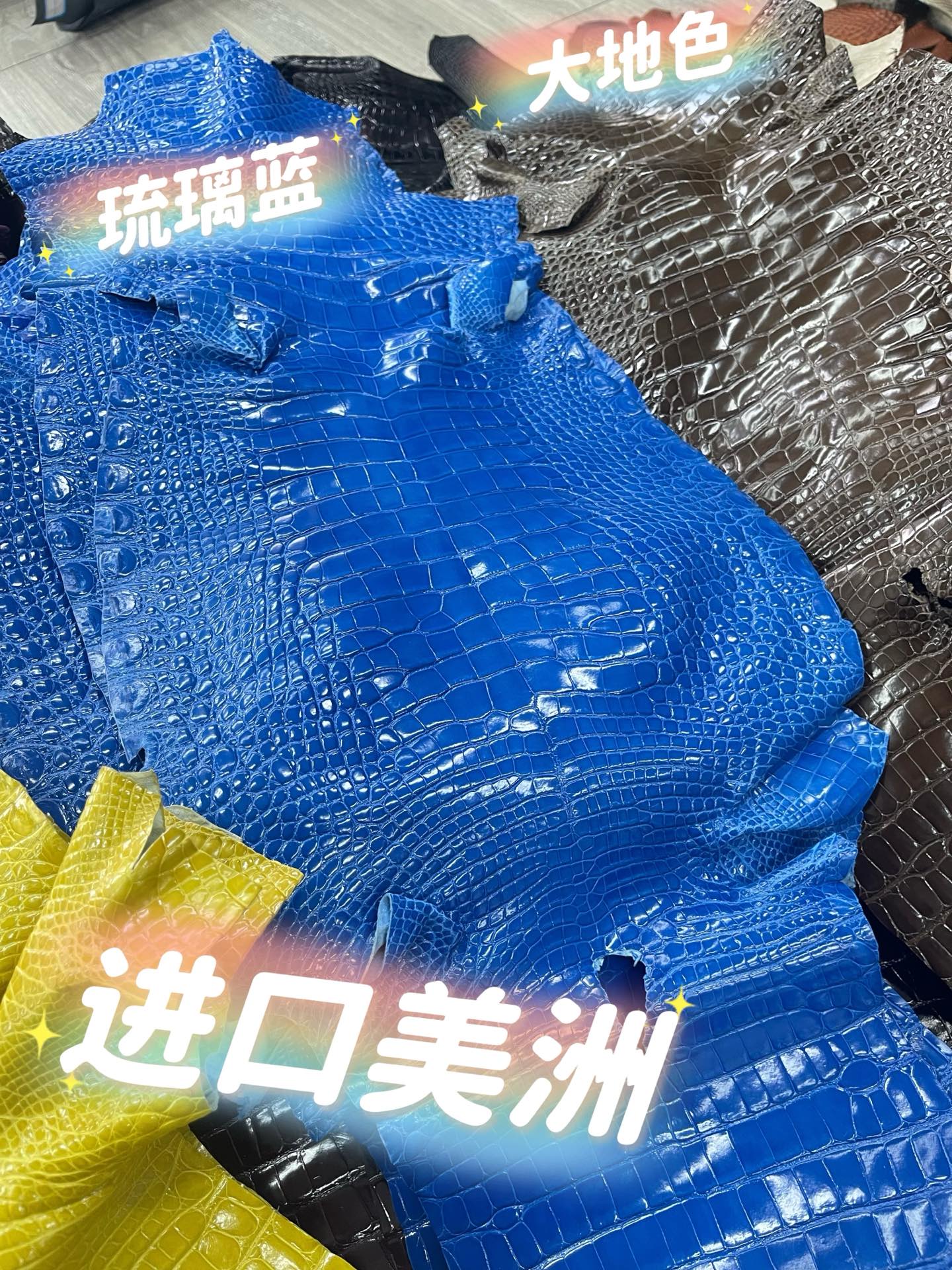 Imported shiny American crocodile