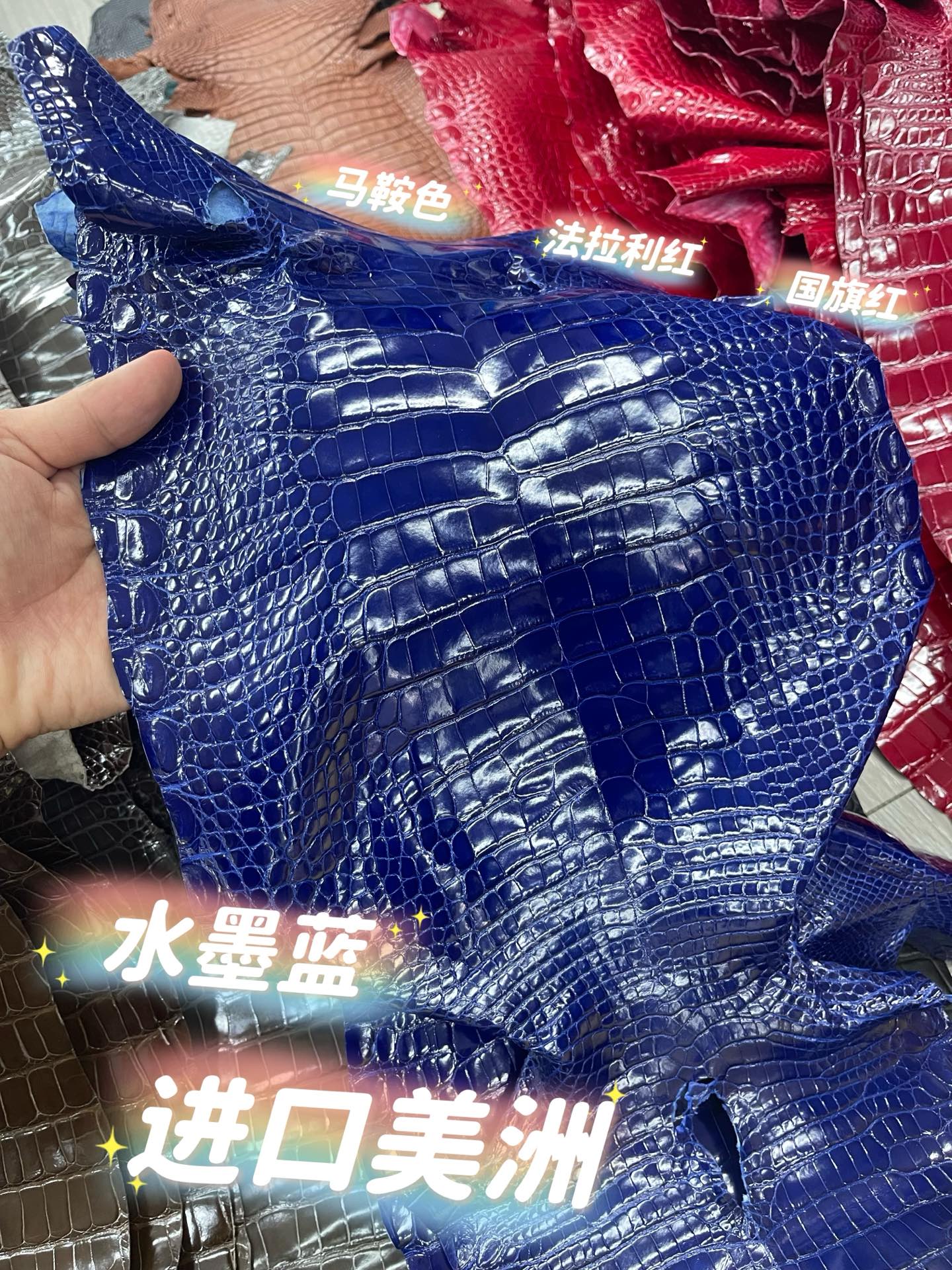 Imported shiny American crocodile