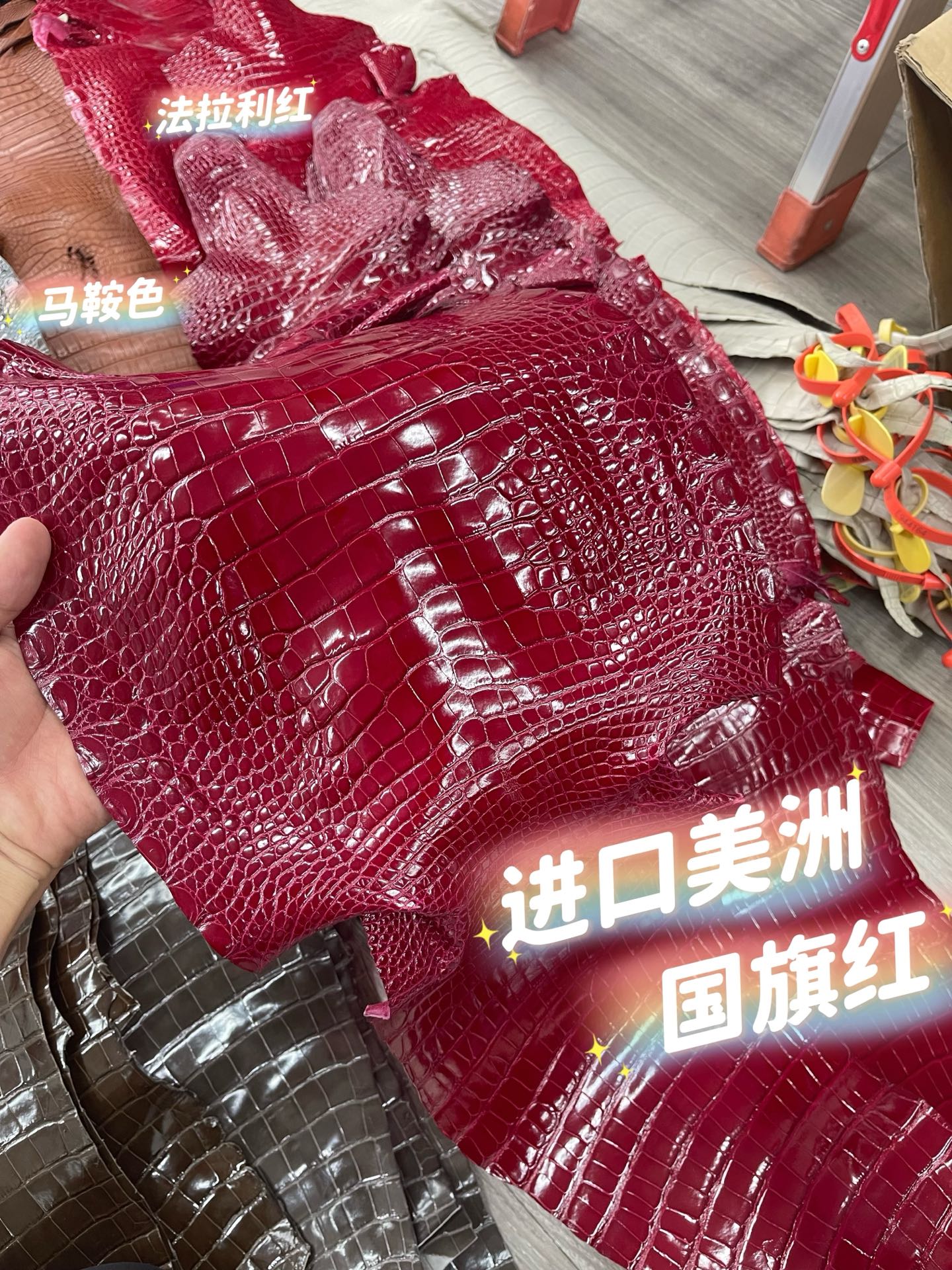 Imported shiny American crocodile