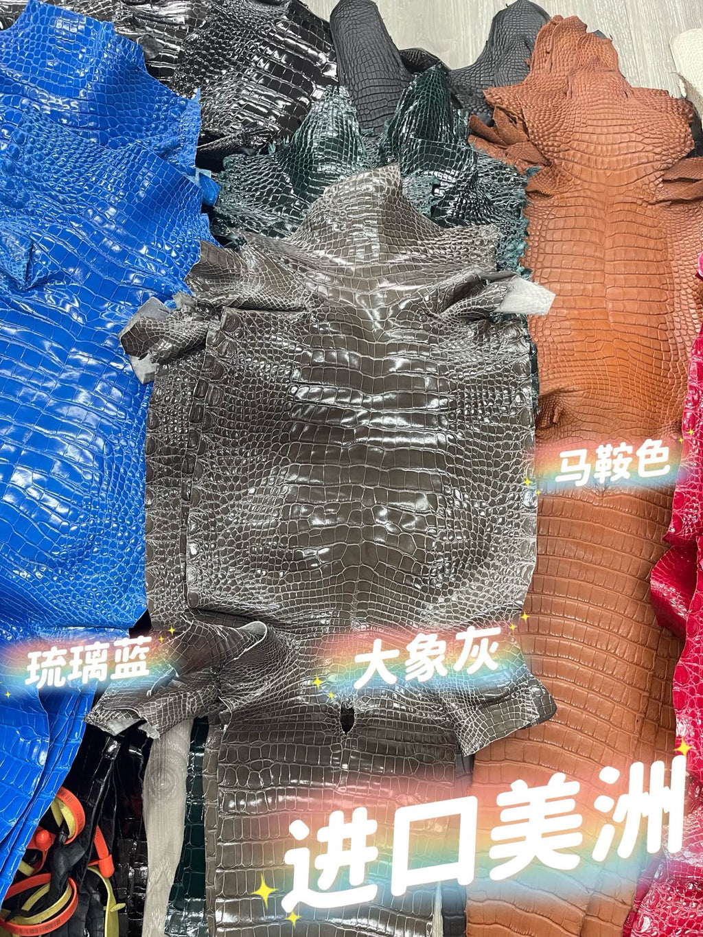 Imported shiny American crocodile