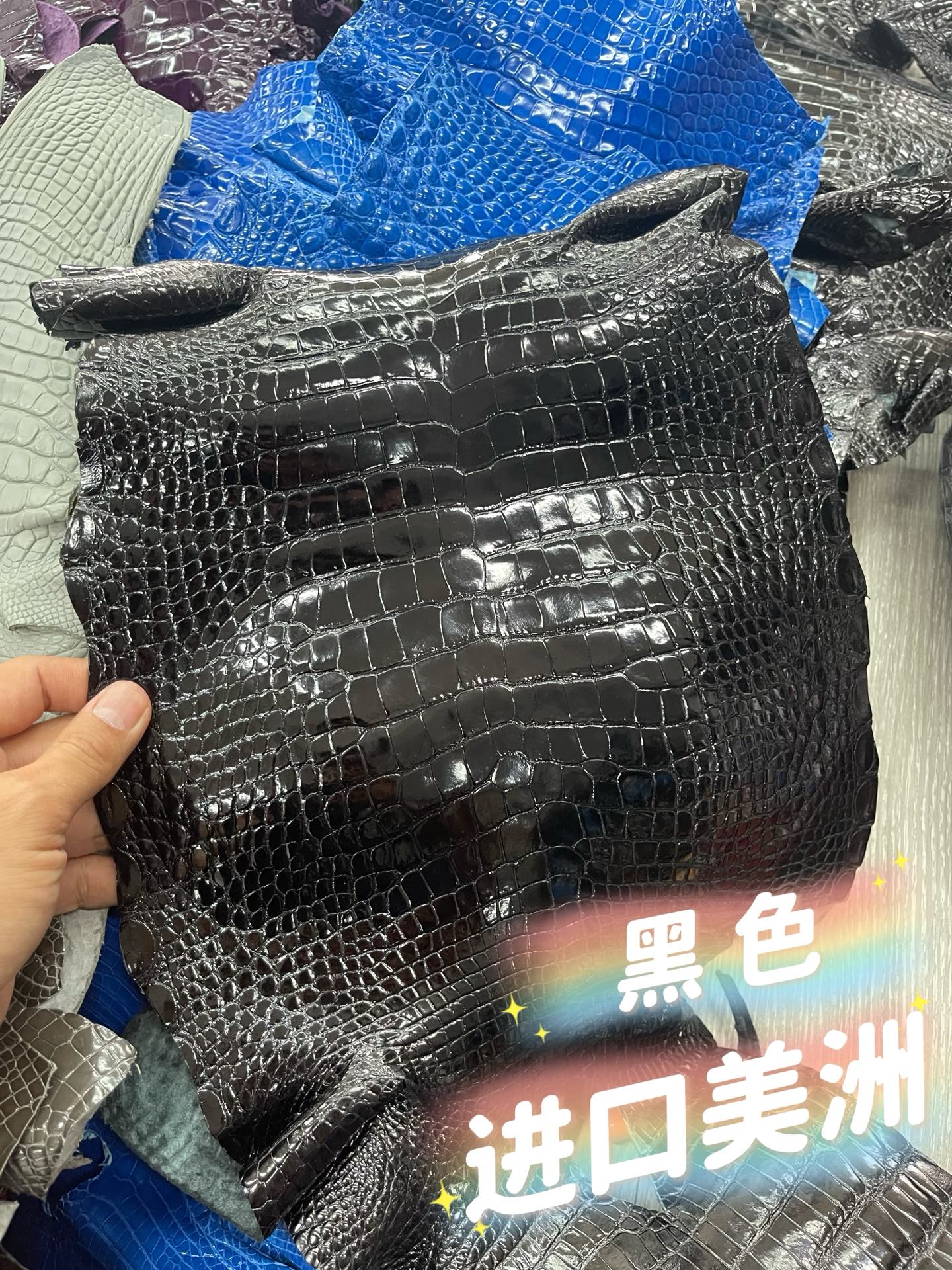 Imported shiny American crocodile