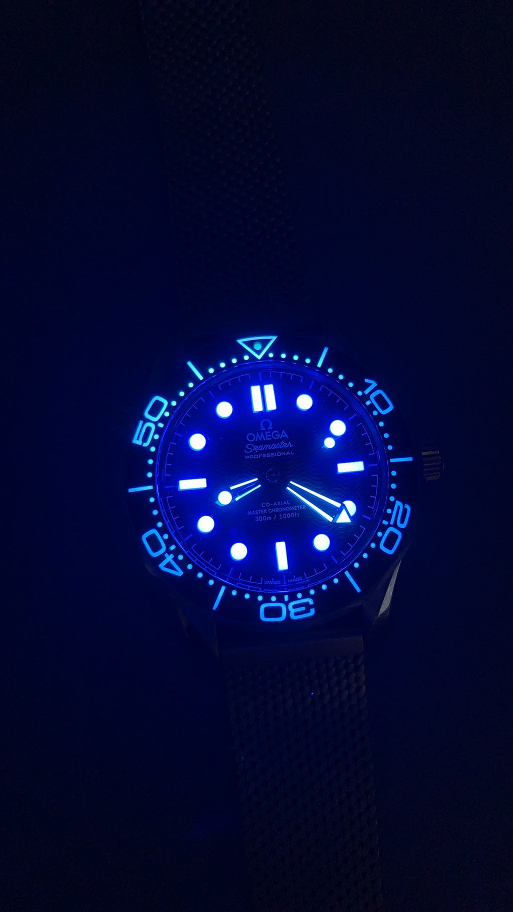 Vsf，007