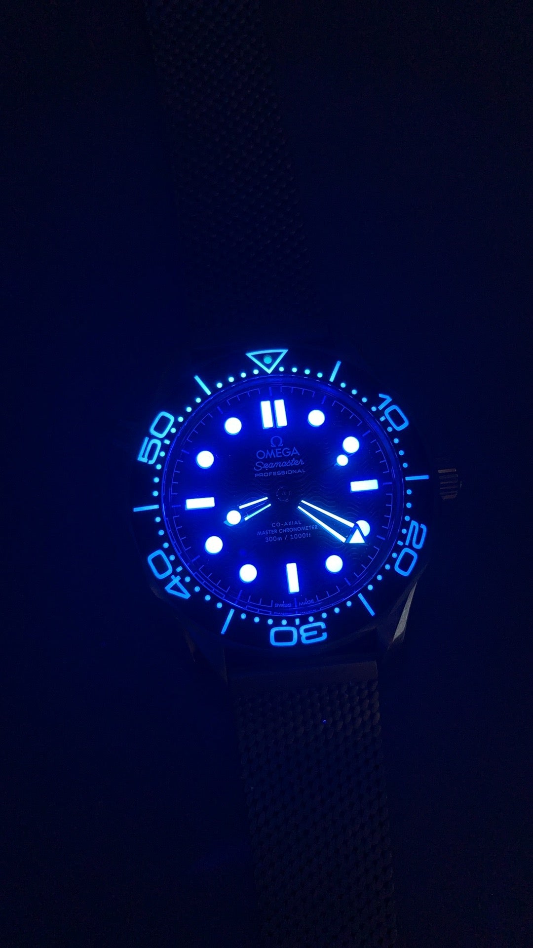Vsf，007